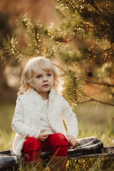 Bedårande liten flicka sitter i parken — Stockfoto