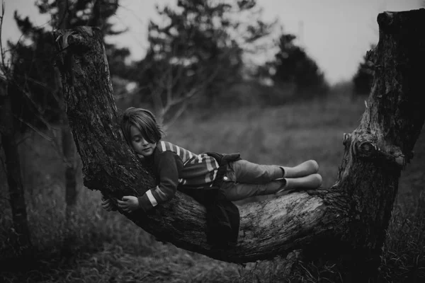 Flicka sover på trädstammen — Stockfoto