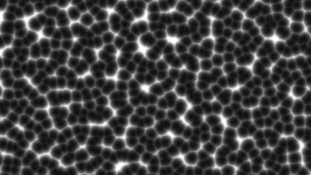 Fundo Animado Preto Branco Esferas Móveis Movimento Caótico Moléculas Imagens — Vídeo de Stock