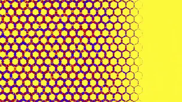 Grille Animée Hexagones Compose Particules Brillantes Colorées Futage Coloré Lumineux — Video