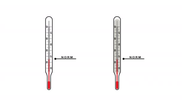 温度計は温度を測定します 体温計を読んでる 人間の体の温度に関するインフォグラフィック ウイルス性疾患の検出 フラットスタイルのアニメーション 映画のデザイン アルファチャンネル — ストック動画
