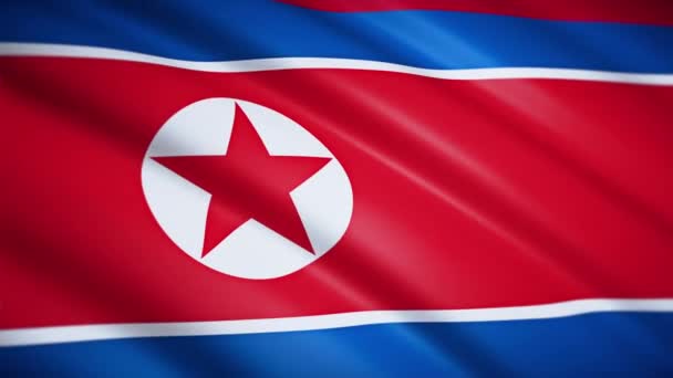 Primo Piano Della Bandiera Nordcoreana Fluttuando Nel Vento Texture Del — Video Stock