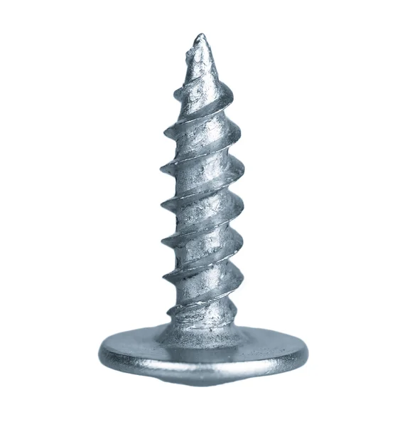 One silver screw toned grey — Stock Photo, Image