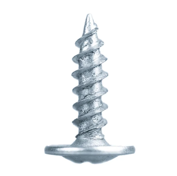 Bir gümüş vida gri tonlu — Stok fotoğraf