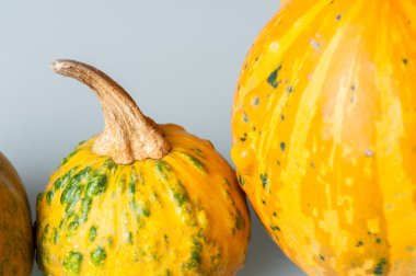 Çeşitli organik su kabakları dekoratif kabaklar, satır