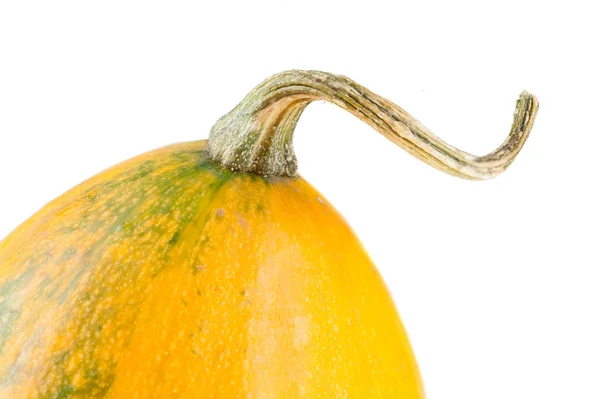 Fresh organic yellow decorative pumpkin — Stock Photo, Image