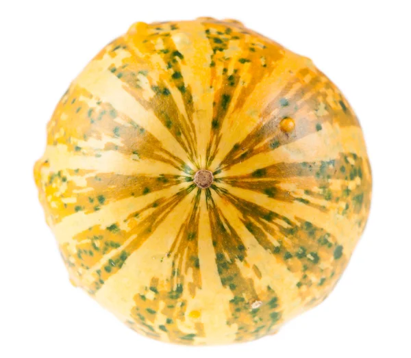 Fresh organic yellow decorative pumpkin — Stock Photo, Image