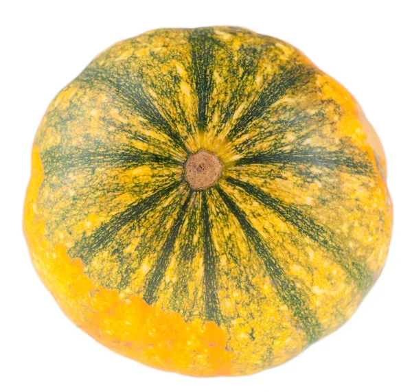 Fresh organic yellow decorative pumpkin — Stock Photo, Image