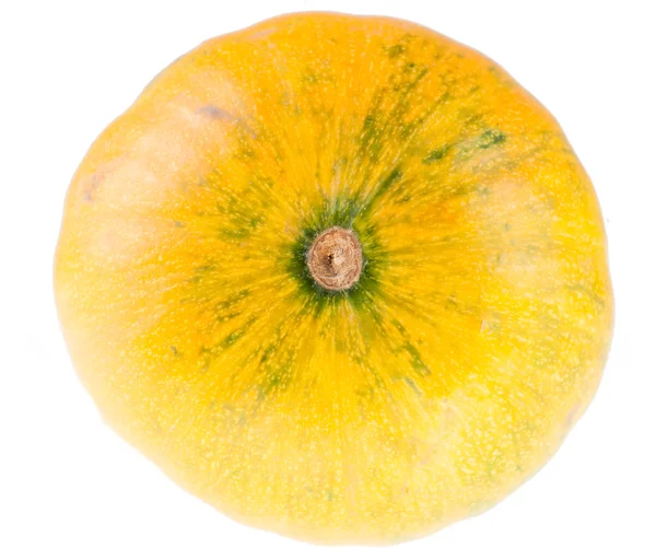 Abóbora decorativa amarela orgânica fresca — Fotografia de Stock