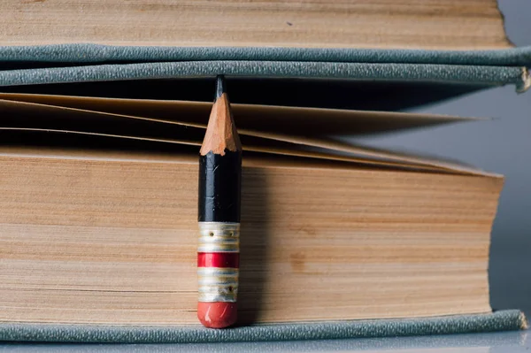 Hundert Seiten Buchhintergrund mit kleinem, perfekten Bleistift — Stockfoto