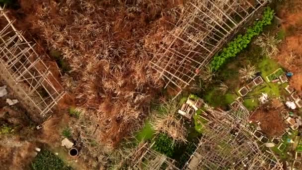 Vista aérea giratoria del jardín abandonado — Vídeo de stock