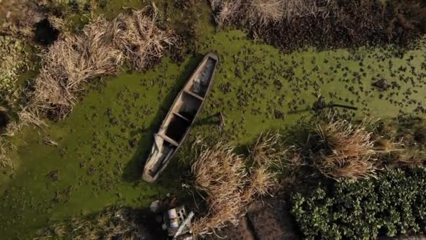 Blick auf einen Garten mit dem verlassenen Boot in der Mitte. — Stockvideo