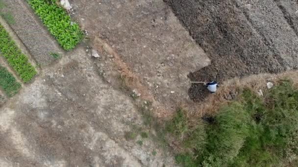 Overhead se mueve hacia la vista izquierda del jardín con un agricultor . — Vídeo de stock