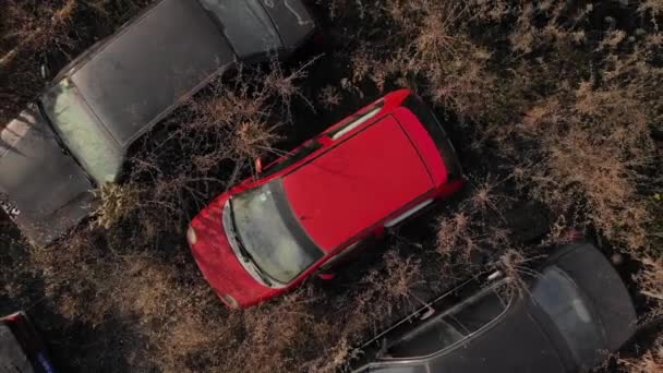 Воздушная спираль с видом на небольшой красный автомобиль среди лотов автомобиля — стоковое видео