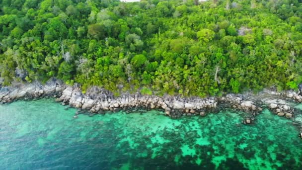 Drone aereo Veduta di un'isola tropicale con giungla lussureggiante e acqua turchese — Video Stock