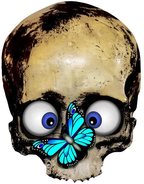 Skull with butterfly — Stock Photo, Image