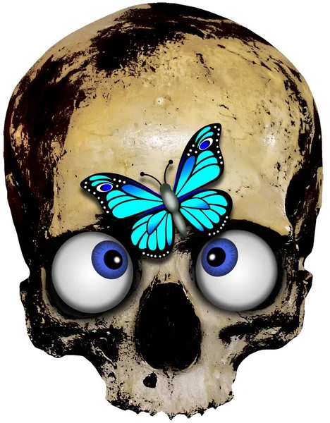 Totenkopf mit Schmetterling — Stockfoto