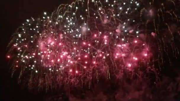 Fogos Artifício Coloridos Acima Céu Noturno — Vídeo de Stock