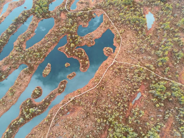 拉脱维亚的巨大沼泽地 Kemeri Boardwalk是Kemeri国家公园的一个著名旅游胜地 美丽的蜿蜒海岸和蓝色的海水 无人驾驶飞机的空中射击 — 图库照片