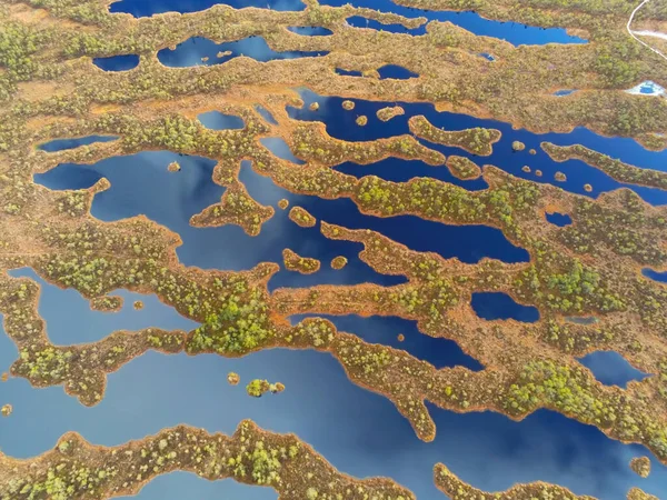 拉脱维亚的巨大沼泽地 Kemeri Boardwalk是Kemeri国家公园的一个著名旅游胜地 美丽的蜿蜒海岸和蓝色的海水 无人驾驶飞机的空中射击 — 图库照片