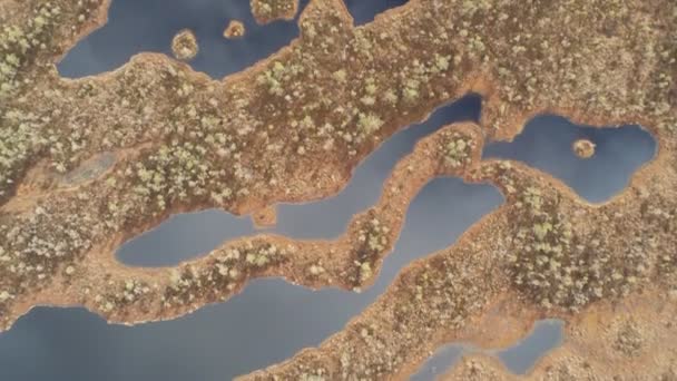 Obrovské Bažiny Lotyšsku Kemeri Boardwalk Známá Turistická Destinace Národním Parku — Stock video