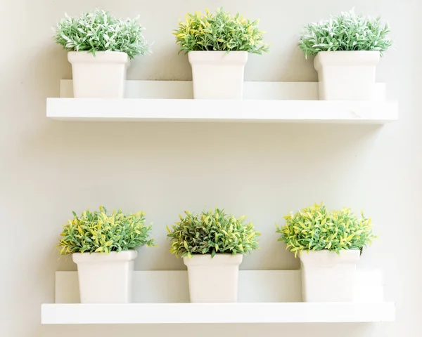 White plant bucket on wall shelf interior decorative — Stock Photo, Image