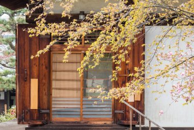 Japnanese eski evin arkasında ağaç dalları bahar barışçı bak