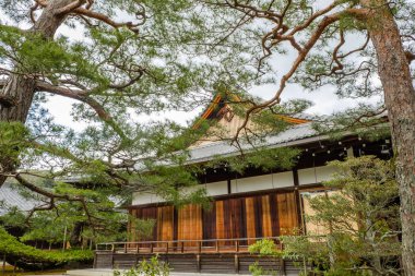 Japnanese Budizm Tapınağı arkasında ağaç dalları bahar pe bak