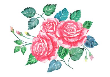 Sulu boya pembe gül buketi sanat. El beyaz arka plan üzerinde renkli yaprakları izole çiçeklerle boyalı. Sevgililer açıklama gösteren resim