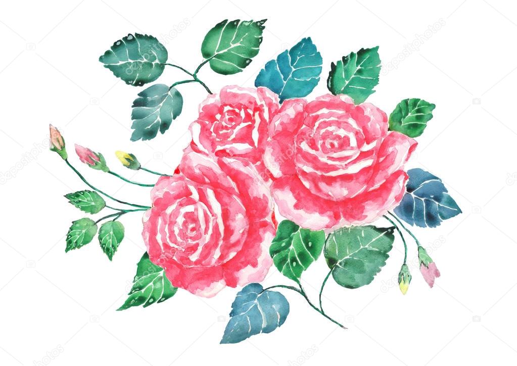 Watercolor pink roses bouquet art.Hand painted flowers with colorful leaves isolate on white background.Illustration of valentine description
