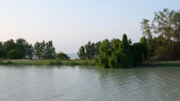 Спокійна Сцени Woodland Маленькому Острові Між Річки Озера Фону Pakbang — стокове відео