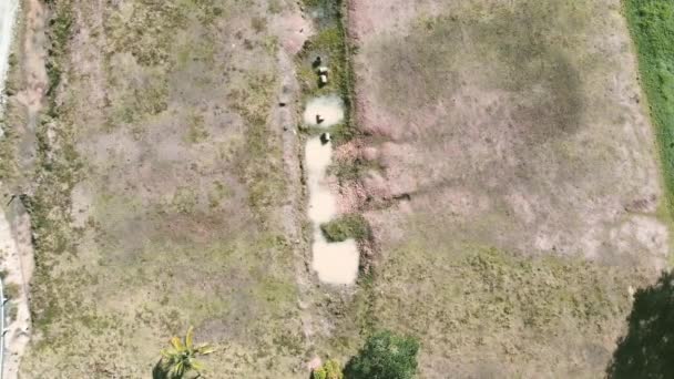 乾燥した土地と道路シーンの背景の空中ビュー — ストック動画