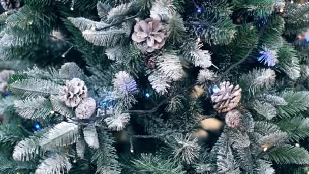 Κοντινό Πλάνο Χριστουγεννιάτικο Δέντρο Διακόσμηση Πεύκα Λουλούδια Και Άνθρωπος Πόδια — Αρχείο Βίντεο
