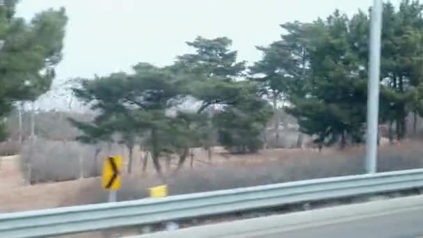 Car Driving Cleanliness Area South Korea — ストック動画