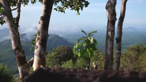 Vue Paysage Depuis Colline Supérieure Avec Mouvement Caméra — Video