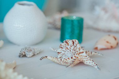 Yaz ilham tatil kompozisyon ve arka plan plaj deniz yıldızı kabukları üzerinde beyaz ahşap masa yakın çekim. Balık yıldız, deniz