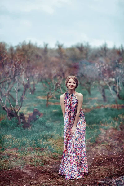 Giovane bella donna in un abito rosa nella foresta nebbiosa. Fiaba, fantasia, leggenda — Foto Stock