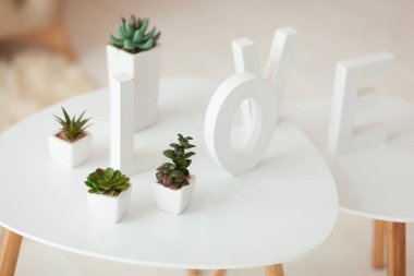iç hacmi arka plan beyaz harfler. Succulents beyaz tencere bir tablo üzerinde durmak