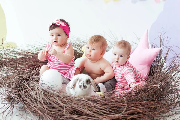 Feliz Páscoa. Bonito meninas pequenas e menino no dia de Páscoa. Crianças caçando ovos de Páscoa no ninho feito à mão. Crianças se divertindo e brincando com coelho — Fotografia de Stock