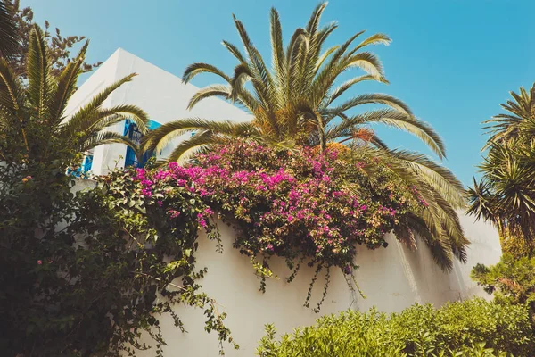 hermosos castillos del Valle del Loira