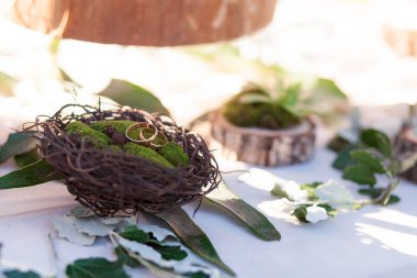 Gelin ve damat yuvadaki halkaları