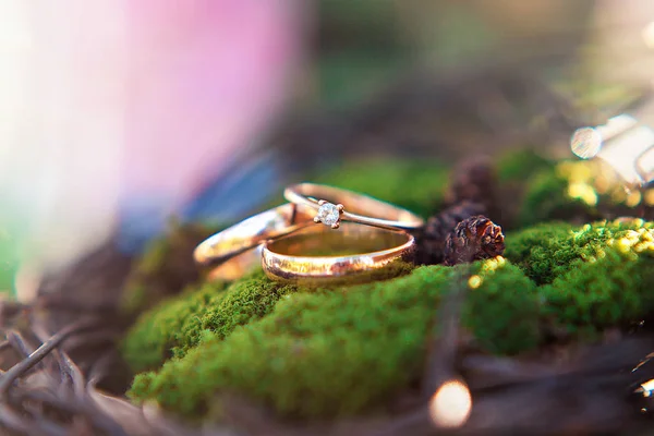 Three golden wedding rings on the moss background. — Stock Photo, Image