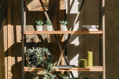 Eski duvar demir raf ve raf succulents, çiçek, kitap ve dekor nesneleri dolu. Güneş ışınları açık atış