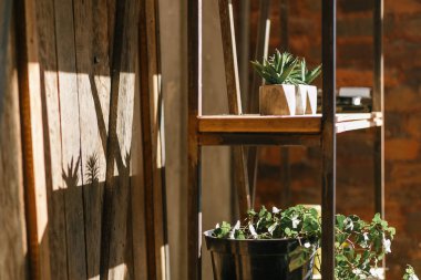 Eski duvar paslı demir raf ve raf succulents, çiçek, kitap ve dekor nesneleri dolu. Güneş ışınları kapalı atış