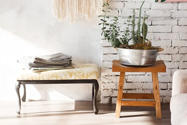 Çatı katı iç, beyaz tuğla duvar arka plan önünde Yeşiller ile pota. İşyeri terzi.