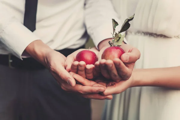the couple holding two red apples in hands. Close focus. Love story idea