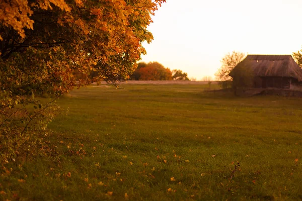 Traditionele Ukranian huis blured op herfst stilleven veld. Eiken geel blad takken in focus — Stockfoto