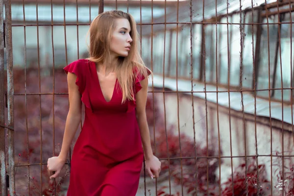 Woman in red dress posing in park — Stock Photo, Image