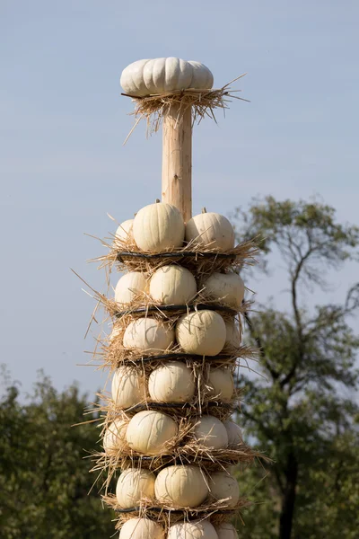 Ripe autumn pumpkins arranged on totem — Stock Photo, Image