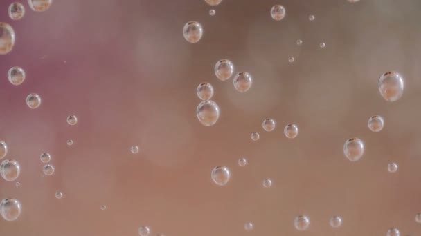 Macro of sparkle water drops on glass — Stock Video